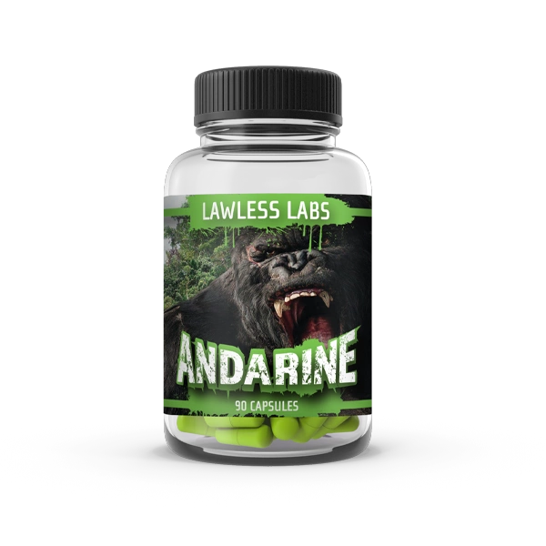 19_image_1_20260117195139528 19 image 1 20260117195139528