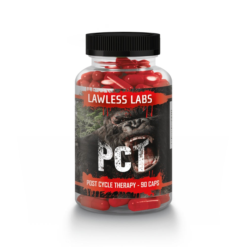 26_image_1_20260117195349119 26 image 1 20260117195349119