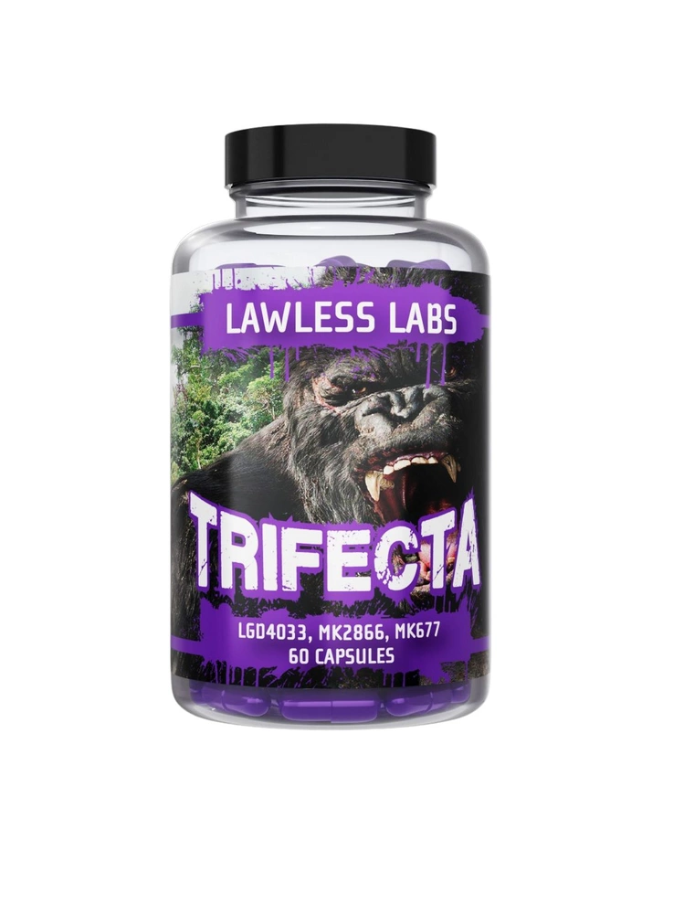 8_image_1_20260117194852309 8 image 1 20260117194852309